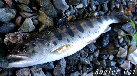 いつもとは違う場所で夕方に