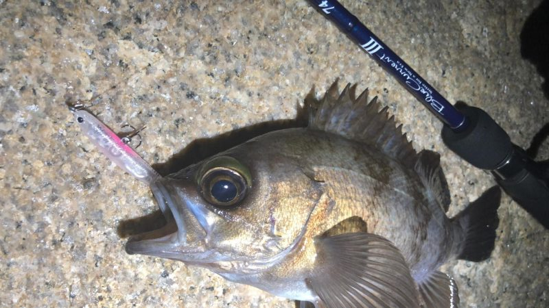 今宵もプラグ縛り！