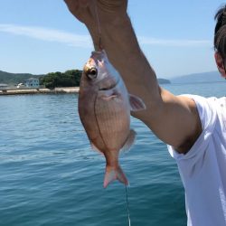 久しぶりのカワハギ