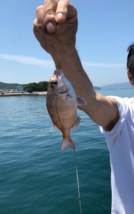 久しぶりのカワハギ