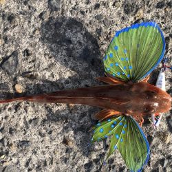 久しぶりの浮津