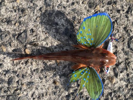 久しぶりの浮津