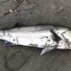 果報は寝て待て