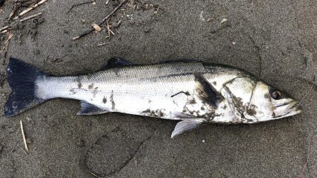 果報は寝て待て