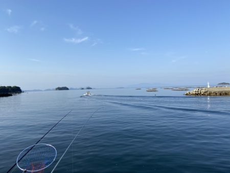 20センチアイナメ