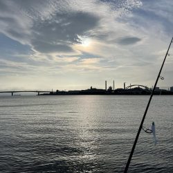 シーバス狙いでまさかの。