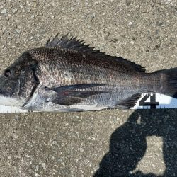 イチノ兄弟、釣果!