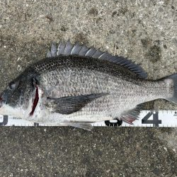 イチノ兄弟、釣果！