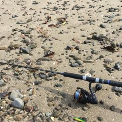 サーフジギング