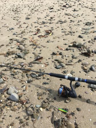 サーフジギング