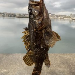 ビギナーズラック?