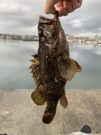 ビギナーズラック?