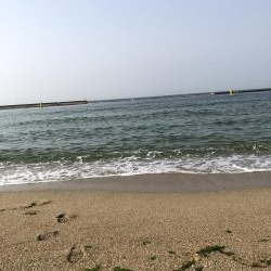 神様、仏様、ビッグバッカー様