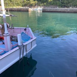 ネンブツ、時々ガシラ