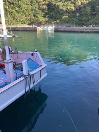 ネンブツ、時々ガシラ