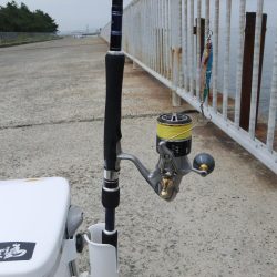 初ブリならず（涙）