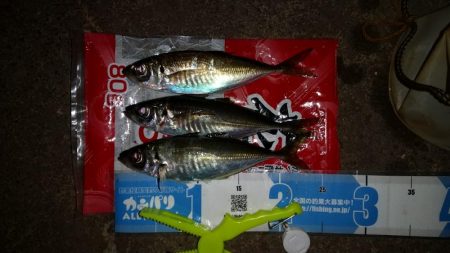 ランガンしないとボウズでした～！