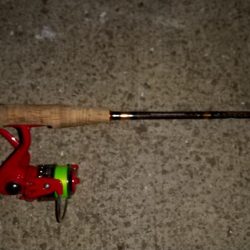 鰺が釣りたくて