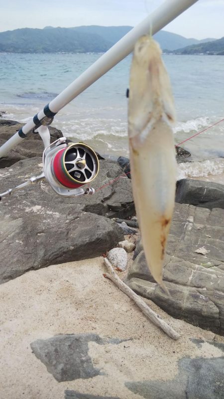 キス釣り