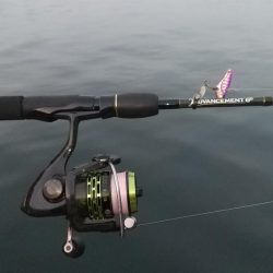 釣れそうで釣れない！