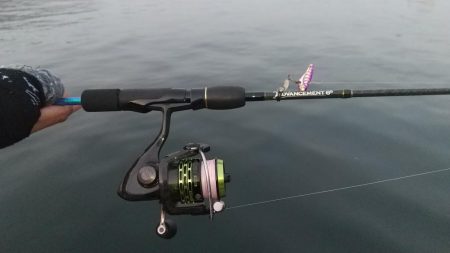 釣れそうで釣れない！