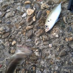 スーパームーン