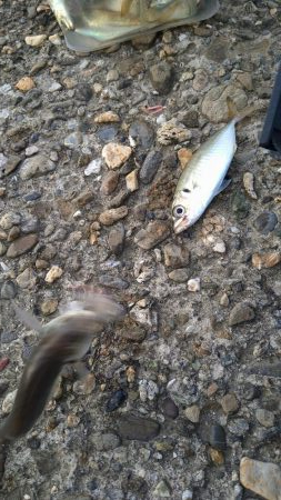 スーパームーン