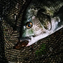 上げのシャローエリア