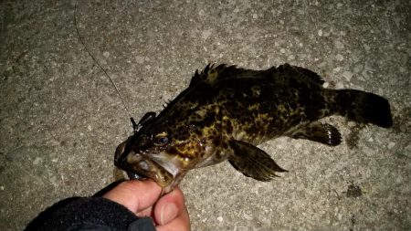 河口のやや深場