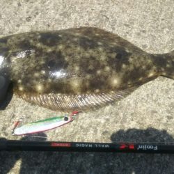 【苅田南港】春のシーバス調査 ~続き