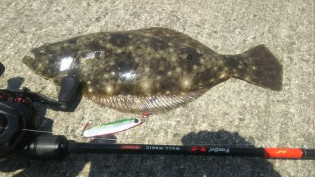 【苅田南港】春のシーバス調査 ~続き