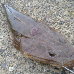 フラットとフラット