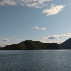 コウイカいた‼️