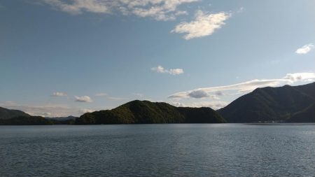 コウイカいた‼️