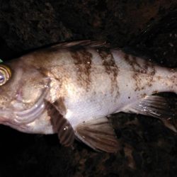 そろそろおわりかな?