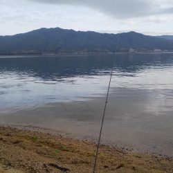 シロギスちょい投げ