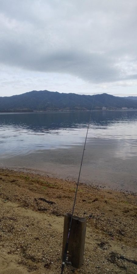 シロギスちょい投げ