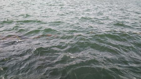 シーズンに入りました