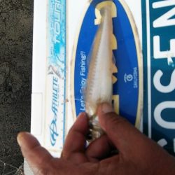 東二見でキス狙い