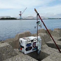 近場のキス調査