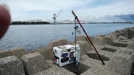 近場のキス調査