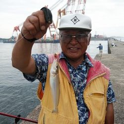 播磨新島のキス調査