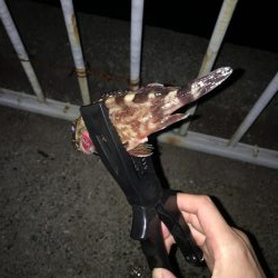 まずめ時のカサゴ