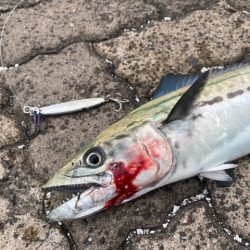 出張フィッシング