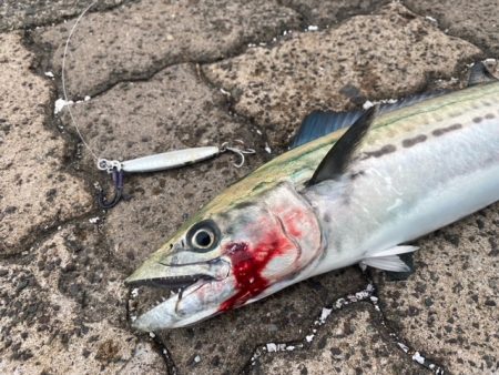 出張フィッシング