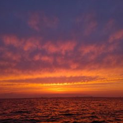 フロートメバリング