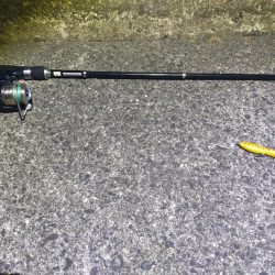 ポッパーでシーバス