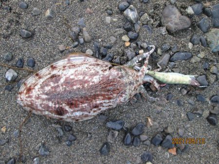 やっぱ道具は大事