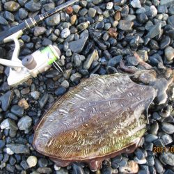 ポツリポツリと