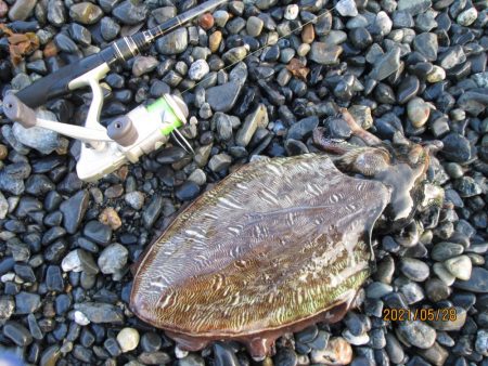 ポツリポツリと